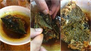 Pastikan anda tahu tentang belangkas dahulu. Pertama Kali Makan Telur Belangkas Hafiz Rahim