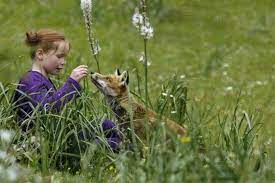 fox s garden the and child this picture book life children films of st. coloriage de patrick