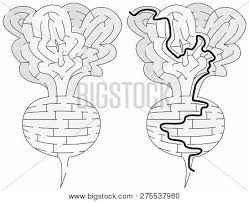 Easy Radish Maze Kids Vector Photo Free Trial Bigstock What will your kids discover when they explore drawing? bigstock