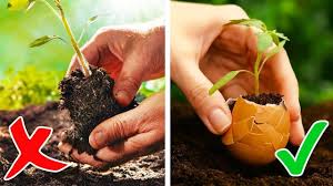 Fürs auge und für den gaumen. 27 Brillante Tricks Fur Deinen Garten Youtube