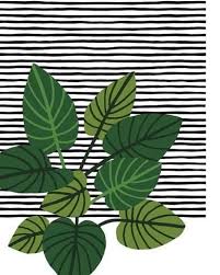 Foliage Grid Giclee Print Kristine Hegre Art Com In 2021 Plant Art Stretched Canvas Prints Botanical Illustration
