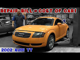 Image result for Papaya Orange 2004 TT