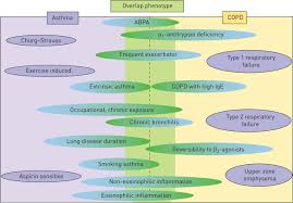 However, they differ in the part of the lungs which they primarily affect. Clinically Relevant Subgroups In Copd And Asthma European Respiratory Society