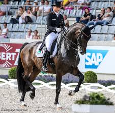Though accurate, this description does not come close to capturing the striking picture that showtime makes when performing with his longtime rider, german olympian dorothee schneider. Dorothee Schneider Showtime Win Grand Prix Special To Take German Championship Correction Dressage News
