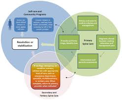 It uses an advanced technology to locate subluxations of the spine, calibrates itself and then gently adjusts the area. The Global Spine Care Initiative Model Of Care And Implementation Springerlink