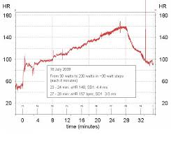 heart rate variability hrv during exercise canutes