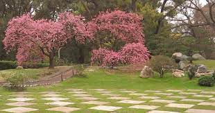 Jardin Japones Buenos Aires Argentina