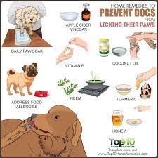Pin On Animals