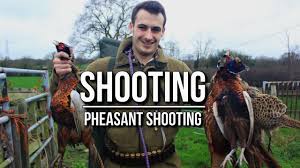 May 16, 2019 · like the males of 97 percent of all bird species, a rooster does not have a penis. Bird Hunting Shooting Pheasants Ta Outdoors Youtube
