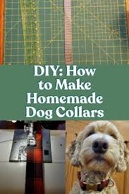 Elke dag worden duizenden nieuwe afbeeldingen van hoge kwaliteit toegevoegd. Diy How To Make Your Own Dog Collar Tails Of Connection How To Connect With My Dog Online Dog Training Strengthen Your Bond Dog Owners