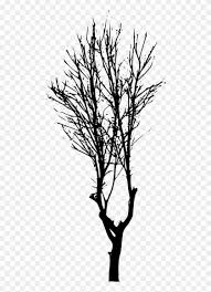 Check spelling or type a new query. Free Png Tree Silhouette Png Trees Silhouettes No Background Transparent Png 480x1083 425611 Pngfind