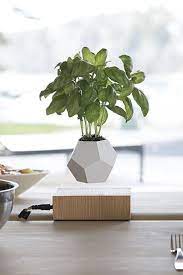 20 Planters So Chic Nobody Will Notice If You Forget To Water The Plants Indoor Flower Pots Flower Pots Indoor Flowers