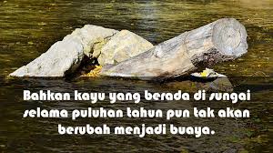 1 kata kata sindiran untuk pacar dan sahabat. 20 Kata Kata Sentilan Untuk Sahabat Yang Munafik Kepogaul