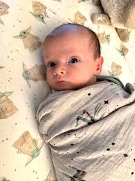 The Biggest Mannion Family Tree