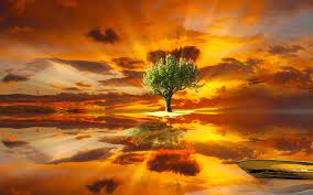 Welcome to albert & ellis landscaping & tree services. Amazing Tree Landscape Hd Wallpapers Free Download Wallpaperbetter