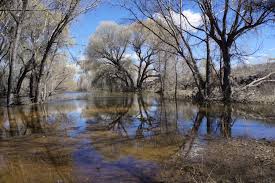 The reserve on willow lake. Prescott S Watson And Willow Lakes Are Overflowing At Spillways The Daily Courier Prescott Az