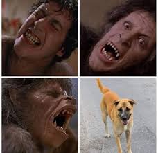 Ivan Wilder Sirpa Huanca