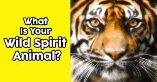 Perform a meditation or prayer session during which you concentrate on being open to communications from your spirit animal. What Is Your Wild Spirit Animal Quizdoo