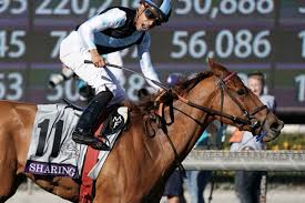 Eclipse Wins 1st Breeders Cup With A Brilliant Performance