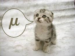 Image result for lolcats