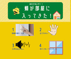 蜂駆除のプロが教える】部屋に蜂が入ってきた！【どうする？どこから？】 | ハチの緊急駆け付け隊｜蜂の巣駆除・蜂退治業者（福岡・佐賀・熊本）
