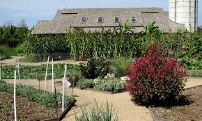 Welcome to kansas city's botanical garden! Edible Acres At Powell Gardens Feed And Educate Students To Chefs Food Tank