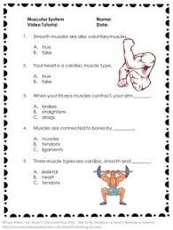 Multiple choice questions and answers (quiz & tests with answer keys) iqbal, arshad on amazon.com. Muscular System Free Video And Worksheet Science Human Body Biology Muscular System Activities Body Systems Worksheets Human Body Science
