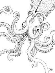 We get an image which represents the encoded flag (as you'll see in a moment, you can't call it encrypted): Jake Lagory Illustrator Cryptozoology Coloring Book Kraken Kraken Coloring Books Cryptozoology