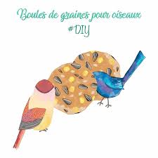 Boules De Graines Pour Oiseaux Diy Graine Oiseau Oiseaux Graine