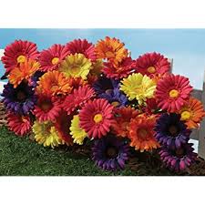 From fake eucalyptus stems and olive branches to outdoor artificial flowers and plants. Buy The Paragon Artificial Flowers Fake Colorful Daisy Plant Realistic Outdoor Silk Flower Online In Lebanon B079p4p1db