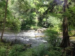 Maybe you would like to learn more about one of these? Beware The Rain Review Of Hillsborough River State Park Thonotosassa Fl Tripadvisor