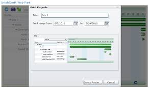 Intelligantt Print The Intelligantt Sharepoint Gantt Chart