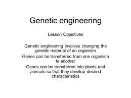 Genetic Engineering Lesson Objectives Genetic Engineering Involves Changing The Genetic Material Of An Organism Genes Can Be Genetic Engineering Genetics Gene