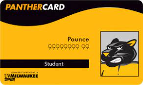 Why the panther card would be effective. Use Your Selfie Retail Services