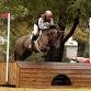 August Schooling Show