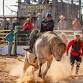 Capel Rodeo & Campout 2026 event image
