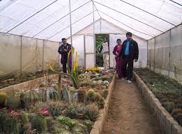 The pine rivers community nursery was a joint venture between the bunya community association inc., grovely campus association of students and the then pine rivers shire council (now moreton bay regional council). The Colourful Orchids Are Amazing In Pine View Nursery Kalimpong Mylot