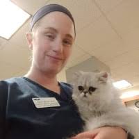 10+ "Heidi Stroh" profiles