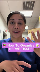 📚How To Organize: Nerve Tissue📝 #nervoustissue #nerves #nervetissue  #anatomyclass #anatomylesson #anatomyandphysiology #anatomyiscool  #humananatomy #humananatomyandphysiology #anatomytutorial ...