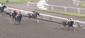 北条のレパードステークス予想!2021 in 北条ブログ, うらコラボ 2021年8月8日 レパードs（g3）を含む全重賞レースのお宝注目馬を公開!～斎藤の週末『重賞』注目馬～ in 完全競馬攻略サポート 2021年8月6日 【theコア】万馬券を. Evep Yca92tuwm