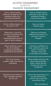Difference Between Active And Passive Transport Comparison Summary Study Biology Medical School Studying Biology Notes