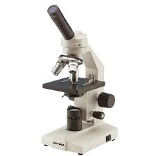 Parts Of A Microscope Quiz