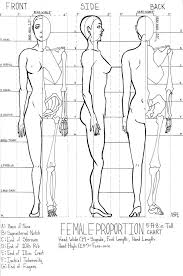 female proportion chart by kazitaz in 2019 drawing lessons