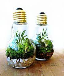 Light Bulb Plant Terraium For Industrial Decorating Light Bulb Plant Light Bulb Terrarium Planting Bulbs