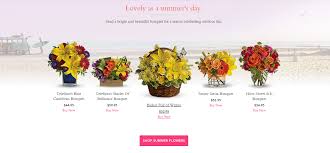 In bloom flowers coupon code. Teleflora Coupon Code And Promo Code 2016 Picking Flowers For A September Wedding With Teleflora Coupon Code August 2015
