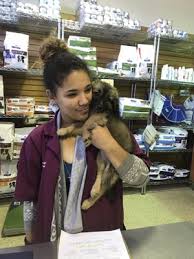 At our clinic, we recognize that your pets are part of your family and we aim to provide the attentive care they deserve. Petvet Petfood 6000 Potrero Ave El Cerrito Ca Animal Hospitals Mapquest