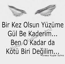 yuvasiz kuslar home facebook