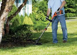 Check spelling or type a new query. The 10 Best Battery Powered Weed Eaters Of 2021 Best Garden Tips