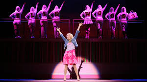 Legally blonde wallpaper legally blonde wallpaper 2440578 fanpop. Legally Blonde Wallpapers Wallpaper Cave