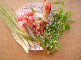 This video is part of aiman's series on exotic tropical herbs and plants from her mom's enchanted garden. Daun Kesum Bunga Kantan Lemongrass And Gelanggal Ginger Flower Buds Lemongrass And Herbs That Are A True Must Spicy Ingredients Laksa Laksa Recipe